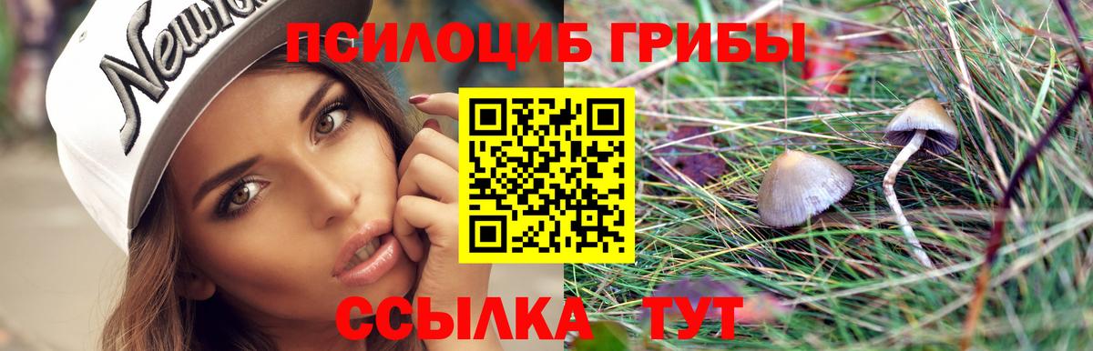 Галлюциногенные грибы Cubensis Коркино